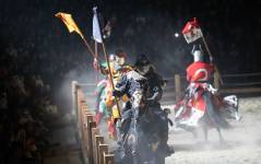 Hervé DIOLOGENT - HSD PHOTO