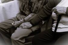 Fanny VINCENT - LE BONHEUR EN PHOTO