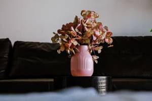 Brandon HUNT - BRANDON HUNT