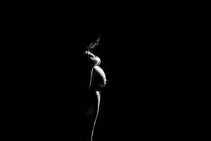 Christophe LORSCH - Bourgogne photo