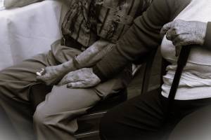 Fanny VINCENT - LE BONHEUR EN PHOTO