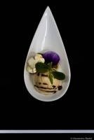 Alexandre BADOT - BADOT ALEXANDRE